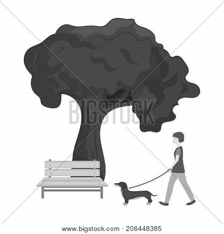 Tree and bench, woman walks a pet in the park. Pet, Dog care single icon in monochromt style vector symbol stock illustration .
