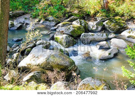 Mountain river with a forest and a fabulous landscape