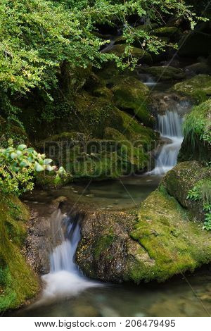 Little waterfall in forest south of france