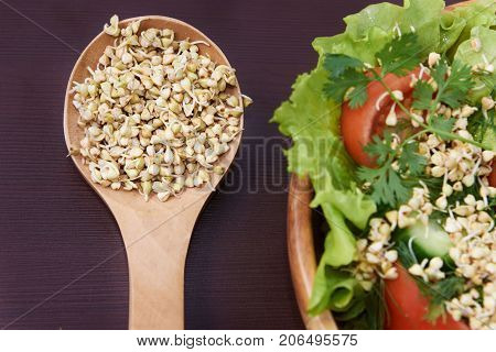 Sprouts. Buckwheat. Health Salad. Vegetarianism. Snack. Greean