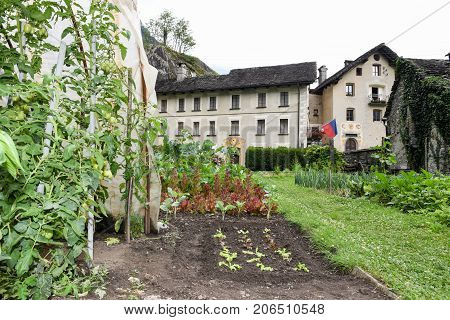 Vegetable Garden In Front Of Old House At Cevio