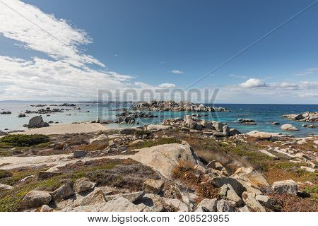 Rocky Coastline And Translucent Sea At Cavallo Island Near Corsica