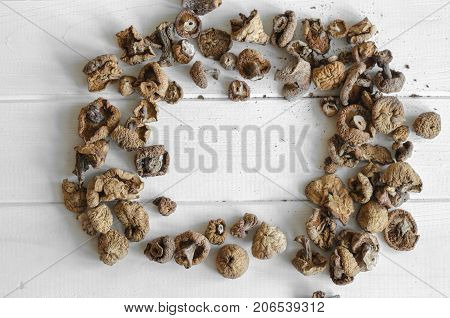 Dry Mushrooms Isolated On White Background. Selective Focus