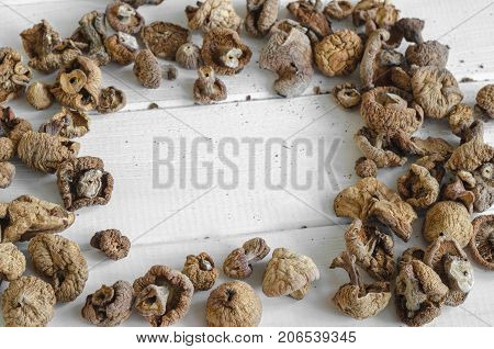 Dry Mushrooms Isolated On White Background. Selective Focus