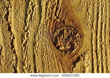 Wood Texture Background