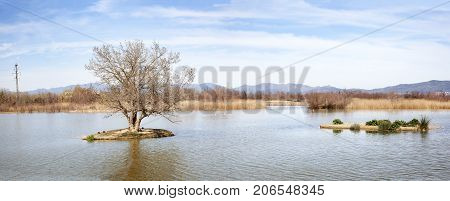 Aiguamolls Of Amporda Natural Park. Girona Province, Catalonia