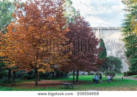 Healesville, Australia - May 13, 2017: people enjoying the outdoors among the autumn leaves at Maroondah Reservoir. Maroondah Reservoir is part of the water supply system.