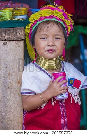 KAYAN STATE MYANMAR - SEP 09 : Portrait of Kayan tribe girl in Kayan state Myanmar on September 09 2017 Kayan tribe woman are well known for wearing neck rings.