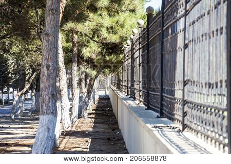 A narrow path near the school separated by trees