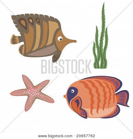 marine life