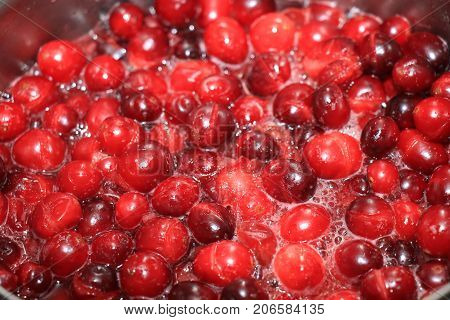 Preparing homemade cranberry sauce for thanksgiving or christmas