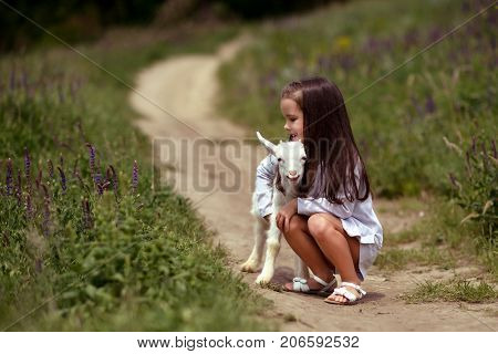 Little girl plays and huhs goatling in country, spring or summer nature outdoor. Cute kid with baby animal, forest, trod, glade background. Friendship of child and yeanling, image toned.