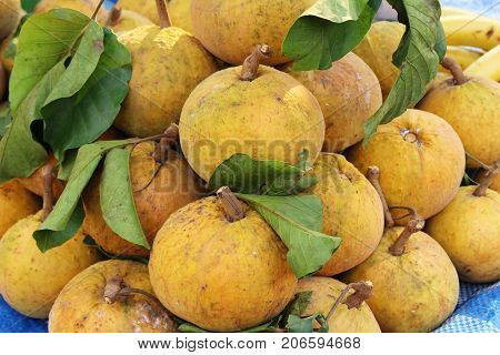 Santon fruit is delicious at street food