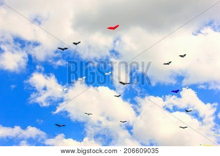 Colorful Kite Free To Fly In The Clear Sky, A Beautiful Summer Day,