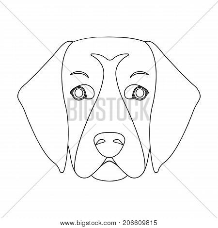 A dog breed, a golden retriever.Muzzle of the Golden Retriever single icon in outline style vector symbol stock illustration .