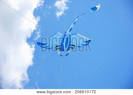 Bright Kites Floating In The Blue Sky, Kite Festival, Air