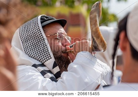 Jewish hasid blows Shofar. Uman Ukraine - 21 September 2017: Rosh Hashanah Jewish New Year.