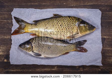 Two carp fish on wooden background close up top view