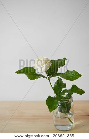 White flowers in a glass vase on a brown wood table Jasminum sambac in scientific name and space for text - Tropical Asia flower