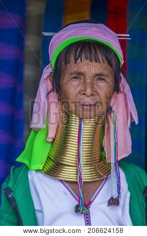 KAYAN STATE MYANMAR - SEP 09 : Portrait of Kayan tribe woman in Kayan state Myanmar on September 09 2017 Kayan tribe woman are well known for wearing neck rings.