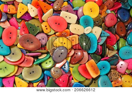 Buttons Made With Dried Tropical Plants Seeds