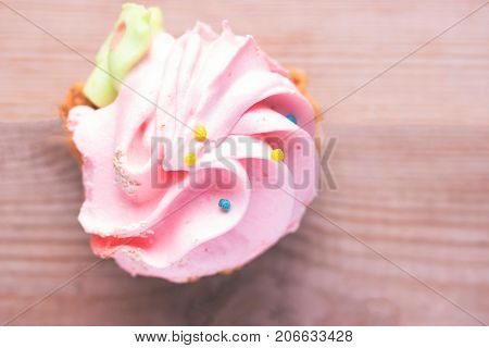 Sweet Pink Cupcake