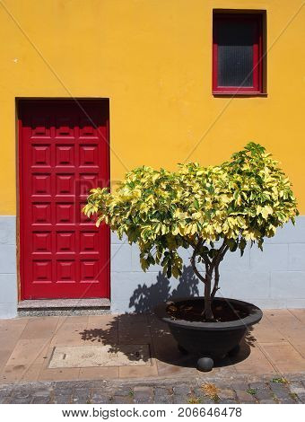 traditional bright yellow house in tenerife with red wooden paneled door and single window with small bush or pland in a pot outside on a summer day with sunlight and shade