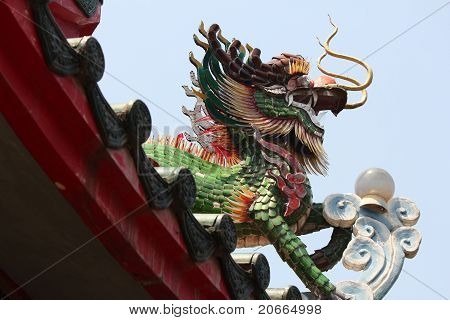 Drago in Thailandia