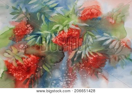 branches with red rowen berries and leaves watercolor background