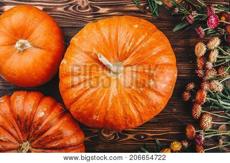 Halloween concept with fresh pumpkin and spiders close-up on the table. View from above