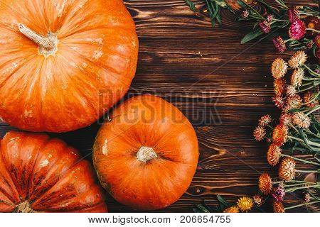 Halloween concept with fresh pumpkin and spiders close-up on the table. View from above