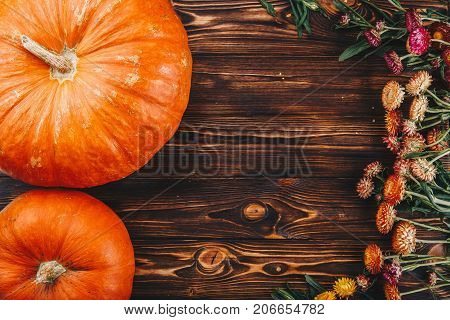 Halloween concept with fresh pumpkin and spiders close-up on the table. View from above
