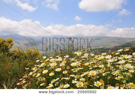 Crete landskab