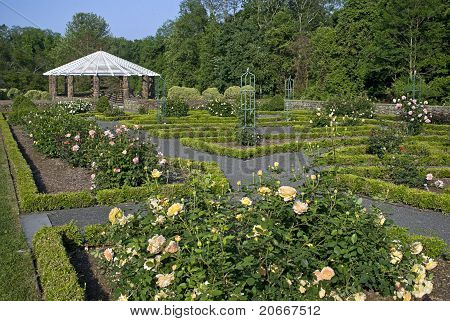 Rose Garden View