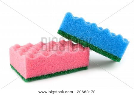Esponjas