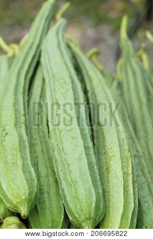 Fresh luffa acutangula for cooking in market
