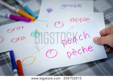 French; Learning New Language With Fruits Name Flash Cards