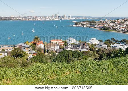 Auckland panorama with Devonport suburb in foreground