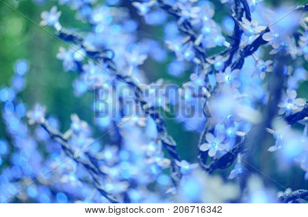 Christmas Led Lights In The Form Of Flowers, Blue Bokeh, Selected Focus