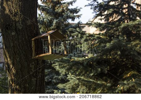 wooden birdhouse on a tree branch, christmas three
