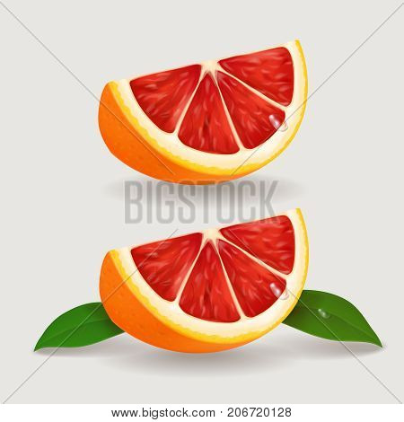 Slice of juicy grapefruit realistic Vector illustration.