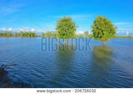 Flooded agricultural areas in the Southeast Asian monsoon zone.