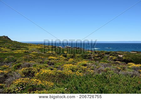 Beautiful Landscapes Along The California State Route One, California, Usa