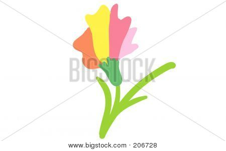 ดอกไม้ที่มีสีสัน