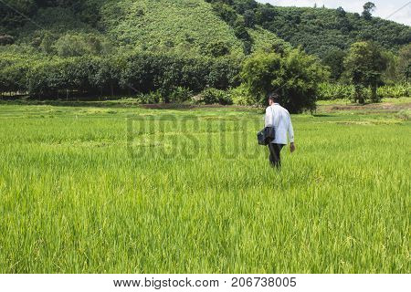 Young docter Pointing Height Destination to Future in the Green Wheat field Searching for the New Startup OpportunitiesCommunity Health and Development Hospital In Remote Areas Development Fund Concept.