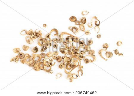 Seeds of common marigold or Calendula officinalis isolated on white background.