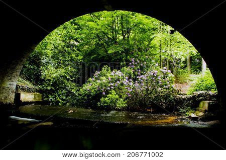 Under the bridge - Virginia Waters, Surrey, United Kingdom