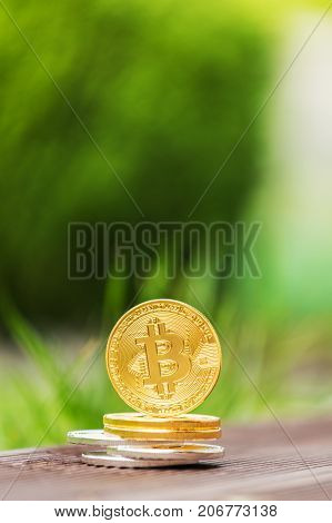 Gold and silver crypto currency bitcoin against the background of green grass. The concept of money on the background of greenery.