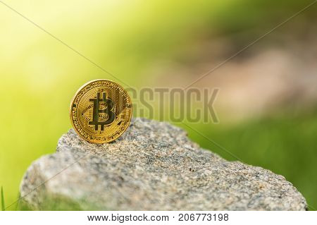 Gold and silver crypto currency bitcoin against the background of green grass. The concept of money on the background of greenery.