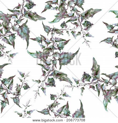 Hand drawing watercolor green sagebrush tarragon leaves ornament